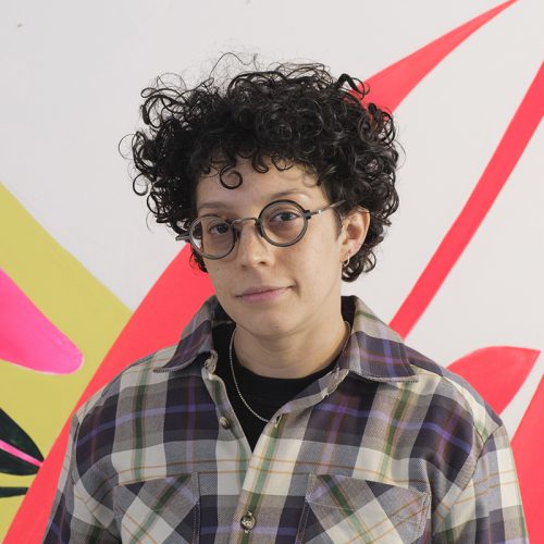 dani800